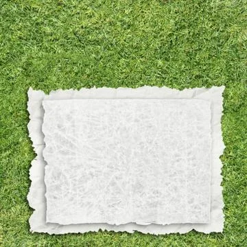 Paper on grass Stock Illustration
