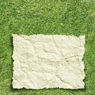 Paper on grass Illustrazione stock