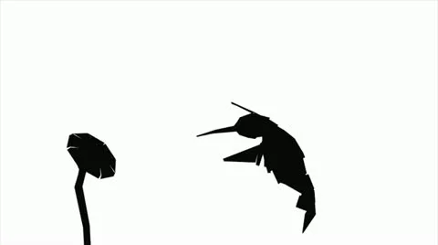 Paper hummingbird silhouette Stock Footage