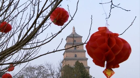 Paper lantern hanging on bare tree in garden Stock Footage 88546245
