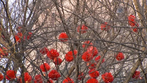 Paper lantern hanging on bare tree Stock Footage 88828007