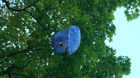 Paper lantern on a tree Video stock 30768488
