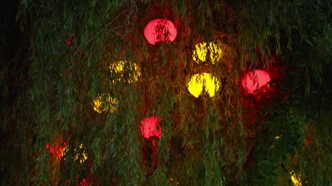 Paper Lanterns Glowing in Tree Branches at Night During Outdoor Festival Vidéo 336655127