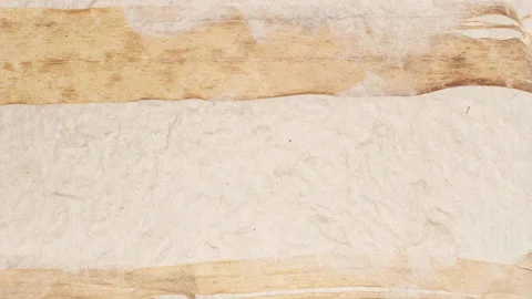 Paper leaf canvas abstract motion graphic Stock Footage 133224647