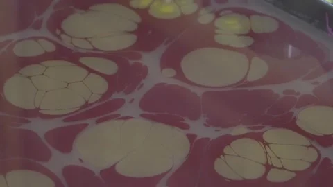 Paper marbling  Stock Footage 254597405