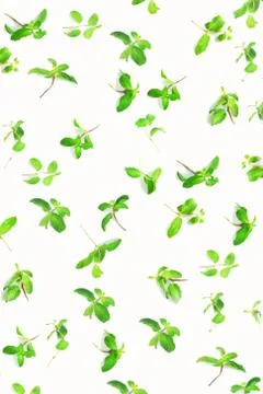 Paper mint pattern Stock Photos