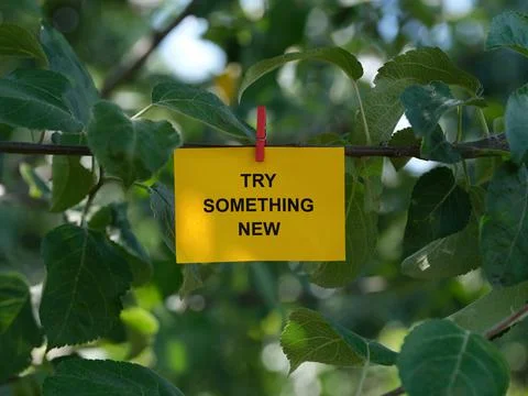 A paper note with the phrase Try Something New on it attached to a tree with Stock Photos