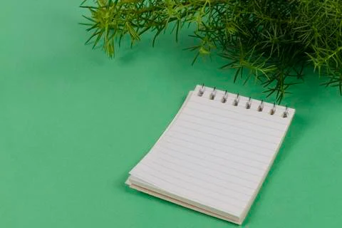 Paper notepad next to cypress branches on green background Foto stock
