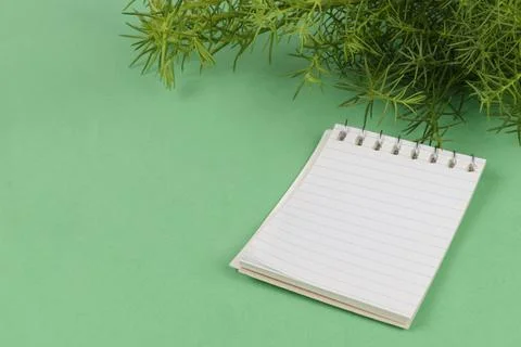 Paper notepad next to cypress branches on green background Foto stock