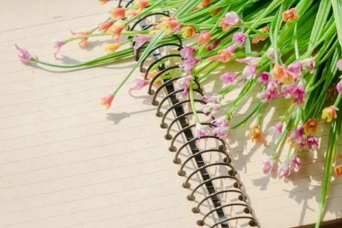 Paper notes. Stock Photos