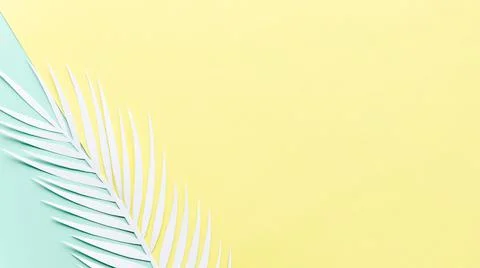 Paper palm leaf bright table . High quality and resolution beautiful photo Stock Photos