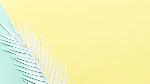 Paper palm leaf bright table Resolution and high quality beautiful photo Stock Photos