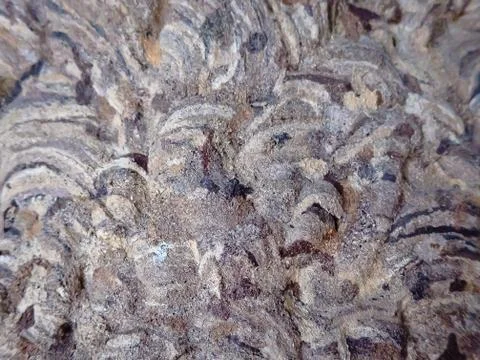 Paper pattern Foto stock