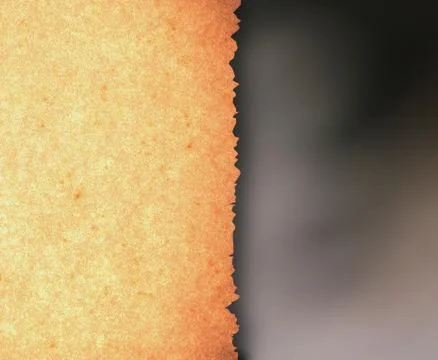 Paper Stock Photos