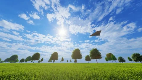 Paper planes fly on the grassland facing the sun and let their dreams go Vídeo Stock 288174283