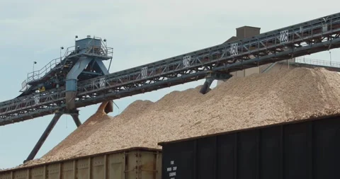 Paper processing plant slow motion shot of wood chips Stock Footage 220578815