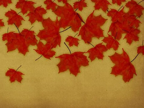 Paper with red leaves Stock Illustration