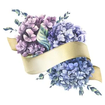 Paper ribbon scroll with blue, pink, purple hydrangea eucalyptus flowers. Hand Illustration