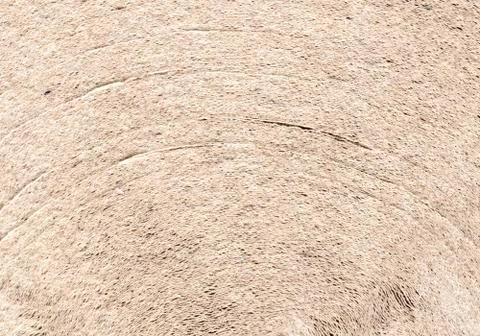 Paper roll texture Stock Photos