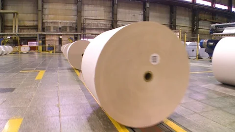 Paper rolls in paper production Stockbeeldmateriaal 103010804
