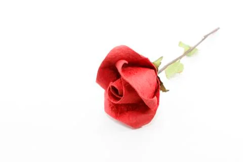 Paper rose Stock Photos