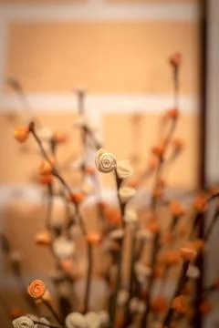 Paper Rose Stock Photos