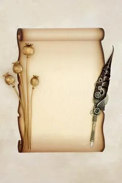 Paper Scroll on Parchment with Feather Pen and Gold Seed Heads Stock Photos