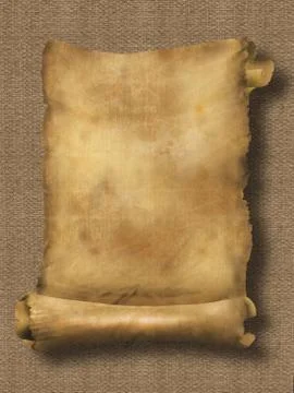 Paper scroll on texture Stock Illustration