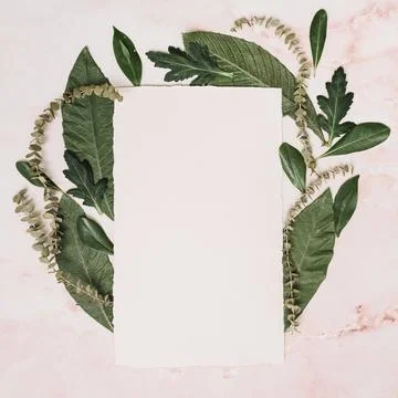 Paper sheet with leaves branches table. High resolution photo 스톡 사진