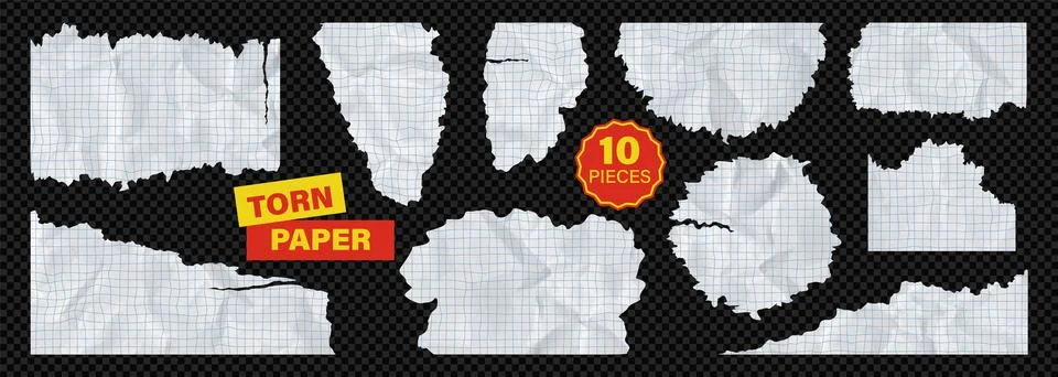 Paper square lined collection of torn ripped rip grid notebook white sheet. Set 스톡 일러스트