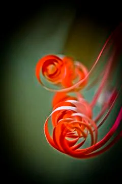 Paper strips of a lightner. Stock Photos