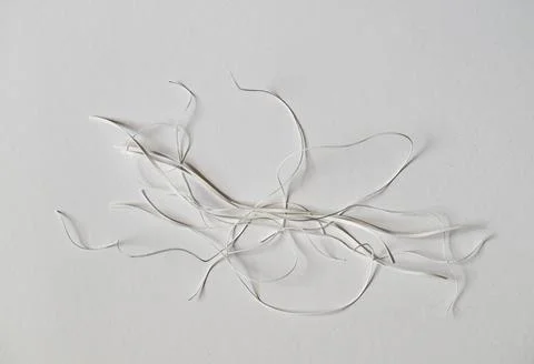 Paper strips on white background Stock Photos