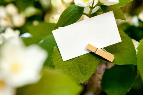 Paper for text writing hooked with clothespin Stock Photos