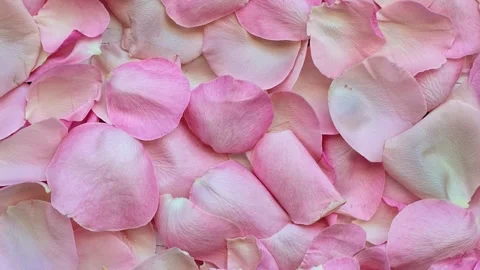 Paper Texture Background Animation 07 Stock Footage 316276547