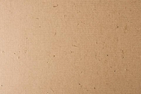 Paper texture cardboard background. Smooth cardboard surface Stock Photos