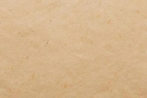 Paper texture cardboard background. Smooth cardboard surface Stock Photos