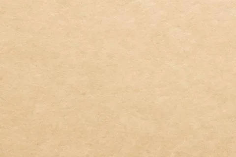 Paper texture cardboard background. Smooth cardboard surface Stock Photos