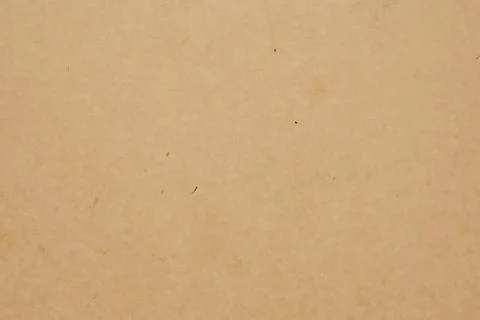 Paper texture cardboard background. Smooth cardboard surface Stock Photos