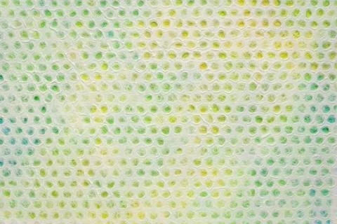 Paper texture with circle pattern white lace paper with a circle pattern a... Stock Photos