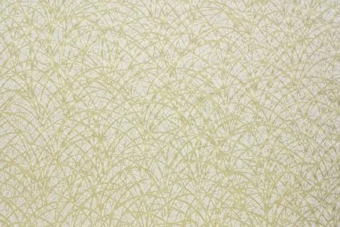 Paper texture with grass pattern white linen paper with white grass patter... Stock Photos