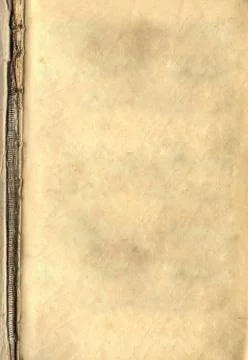 Paper texture Stock Illustration