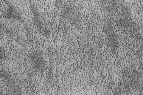 Paper texture. paper surface background. Stock Photos