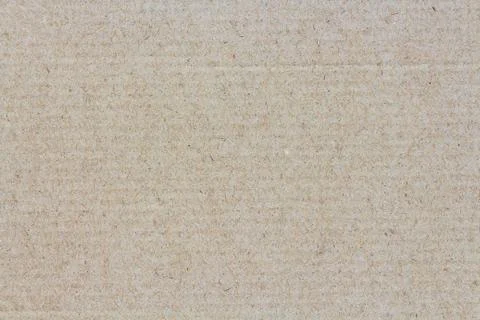 Paper texture. paper surface background. Stock Photos