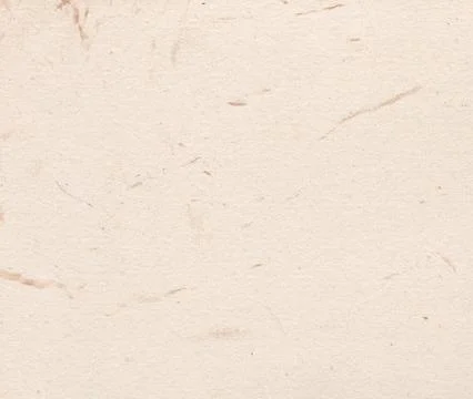 Paper texture 库存照片