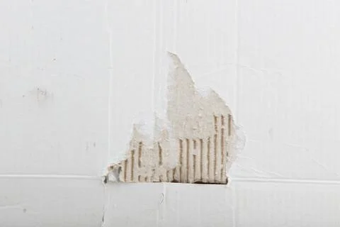 Paper texture Stock Photos