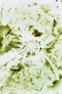 Paper Texture Stock Photos