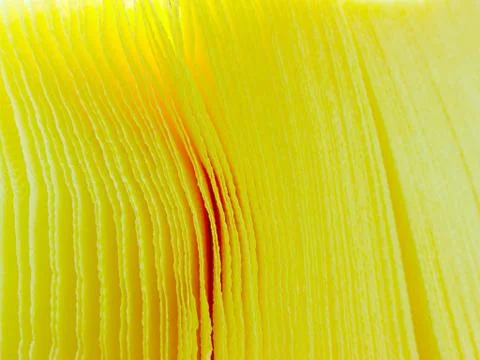 Paper texture. 스톡 사진