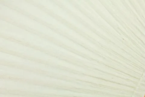 Paper textured background Stock Photos