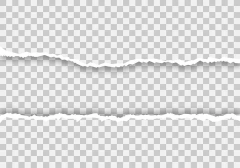 Paper torn. Edge page. Empy paper. Isolated background. - vector Stock Illustration