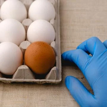 A paper tray with eggs on the table, and next to it is a hand in a blue glove Stock Photos
